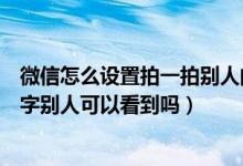 微信怎么设置拍一拍别人的文字（微信里拍一拍怎么设置文字别人可以看到吗）