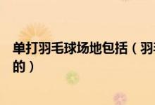 单打羽毛球场地包括（羽毛球单打和双打的场地是如何划分的）