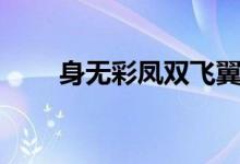 身无彩凤双飞翼（下一句什么来着）