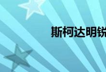 斯柯达明锐保养灯怎么消 