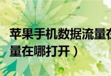 苹果手机数据流量在哪打开（苹果手机数据流量在哪打开）