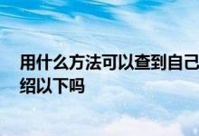 用什么方法可以查到自己的征信 怎么查自己的征信 可以介绍以下吗