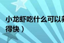 小龙虾吃什么可以养活（小龙虾吃什么可以长得快）