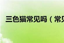 三色猫常见吗（常见的三色猫是什么品种）