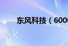 东风科技（600081）股票股本结构