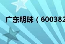 广东明珠（600382）股票十大股东都有谁