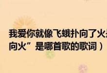 我爱你就像飞蛾扑向了火是什么歌（“我爱你就像那飞蛾扑向火”是哪首歌的歌词）