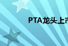 PTA龙头上市公司有哪些（）