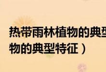 热带雨林植物的典型特征是什么（热带雨林植物的典型特征）