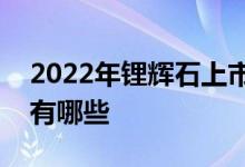 2022年锂辉石上市公司龙头锂辉石上市公司有哪些