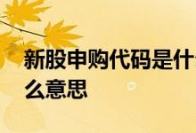 新股申购代码是什么开头 新股申购代码是什么意思 