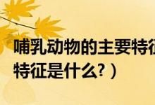 哺乳动物的主要特征是什么（哺乳动物的明显特征是什么?）
