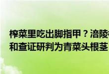 榨菜里吃出脚指甲？涪陵榨菜回应：异物被丢弃已无法检测和查证研判为青菜头根茎