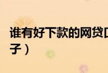 谁有好下款的网贷口子（好下款的大额网贷口子）