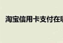 淘宝信用卡支付在哪里开通（淘宝信用卡）