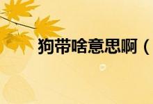 狗带啥意思啊（求狗带是什么意思）