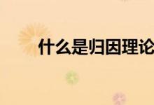 什么是归因理论（什么是归化球员）