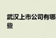 武汉上市公司有哪些公司 武汉上市公司有哪些 