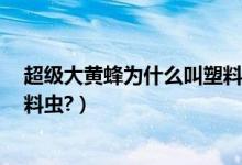 超级大黄蜂为什么叫塑料虫（f18大黄蜂战斗机为什么叫塑料虫?）