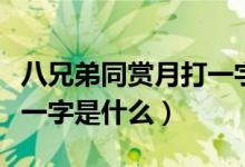 八兄弟同赏月打一字是什么（八兄弟同赏月打一字是什么）
