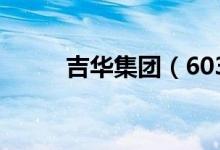 吉华集团（603980）业绩怎么样