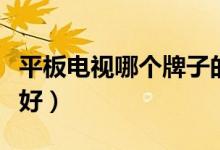 平板电视哪个牌子的好啊（平板电视哪个牌子好）
