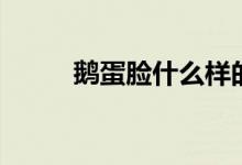 鹅蛋脸什么样的（羊角辫是什么）