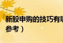 新股申购的技巧有哪些（这两大方法散户可以参考）