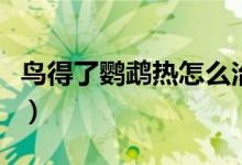 鸟得了鹦鹉热怎么治疗（鸟得了鹦鹉热的症状）