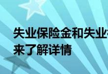 失业保险金和失业补助金可以同时领吗 一起来了解详情 