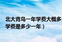 北大青鸟一年学费大概多少（北大青鸟学费一览表北大青鸟学费是多少一年）
