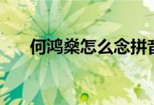 何鸿燊怎么念拼音（何鸿燊怎么读音）