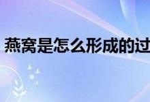 燕窝是怎么形成的过程（燕窝是怎么形成的）