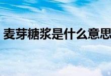麦芽糖浆是什么意思（麦芽糖浆是什么东西）