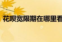 花呗宽限期在哪里看 花呗宽限期在哪里查看