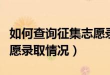 如何查询征集志愿录取结果（如何查询征集志愿录取情况）