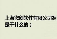 上海微创软件有限公司怎么样（上海微创软件股份有限公司是干什么的）