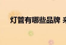  灯管有哪些品牌 来了解一下十大排行吧 