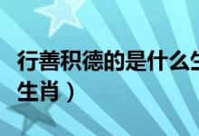 行善积德的是什么生肖（积善积德为人王打一生肖）