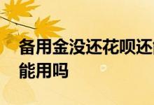 备用金没还花呗还能用吗 备用金没还花呗还能用吗