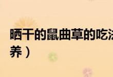 晒干的鼠曲草的吃法（鼠曲草晒干怎么吃有营养）