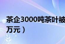 茶企3000吨茶叶被泡老板痛哭（损失达9000万元）