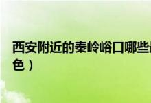 西安附近的秦岭峪口哪些最好玩活动强度如何（各有什么特色）