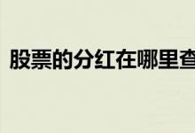 股票的分红在哪里查询 股票分红在哪里查询