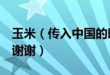 玉米（传入中国的时间 当时中国所处的朝代 谢谢）