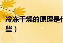 冷冻干燥的原理是什么（冷冻干燥的原理有哪些）