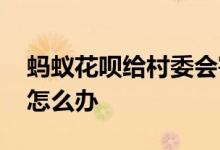 蚂蚁花呗给村委会寄怎么办 花呗上门到村委怎么办