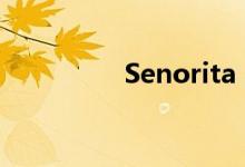 Senorita（完整版歌词）