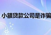 小额贷款公司是诈骗吗（小额贷款公司利率）