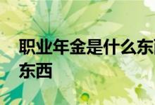 职业年金是什么东西必须交 职业年金是什么东西